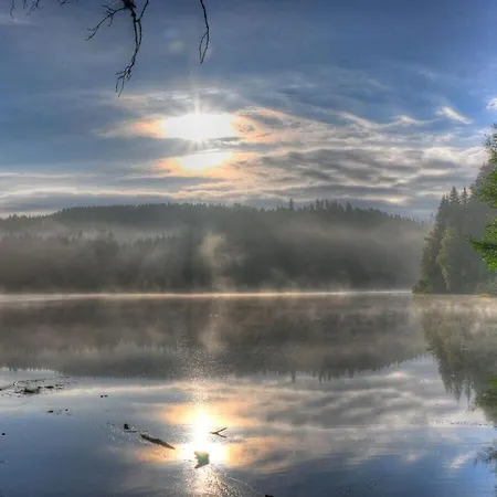 Дом отдыха Holiday Scharzwald