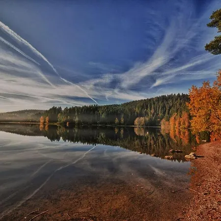 Дом отдыха Holiday Scharzwald *